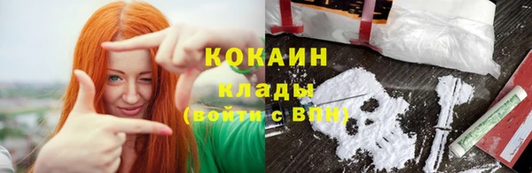 ПСИЛОЦИБИНОВЫЕ ГРИБЫ Каменка
