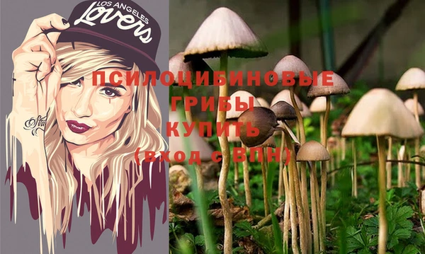 дурь Инсар