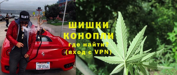 apvp Каменногорск