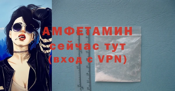 дурь Инсар