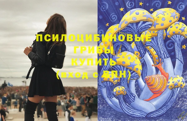 герыч Инта