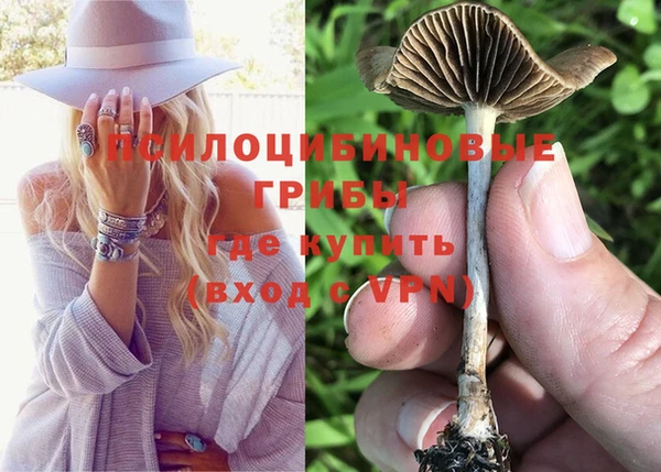 дурь Инсар