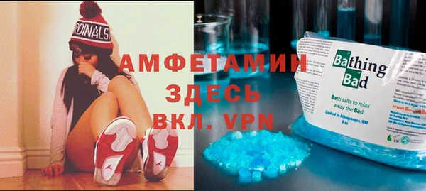 дурь Инсар
